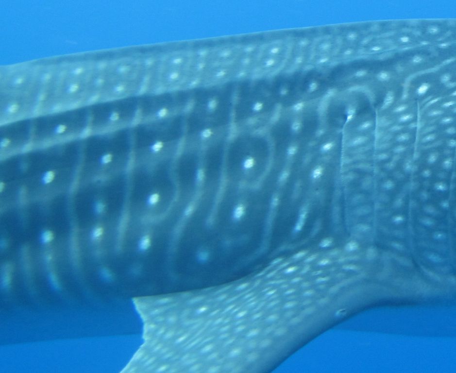 54045405-e146-4622-8037-4b982ae71bca