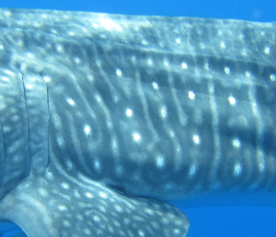 54045405-e146-4622-8037-4b982ae71bca