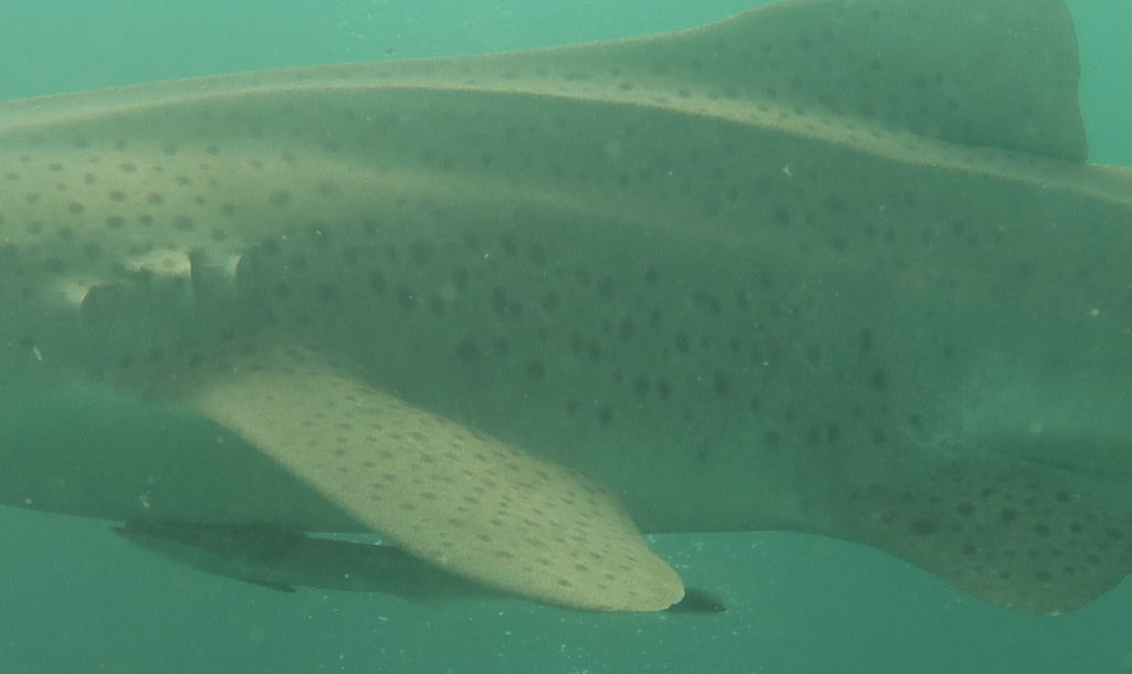 3def672b-08d7-4f4f-bfd6-25b44cb57751