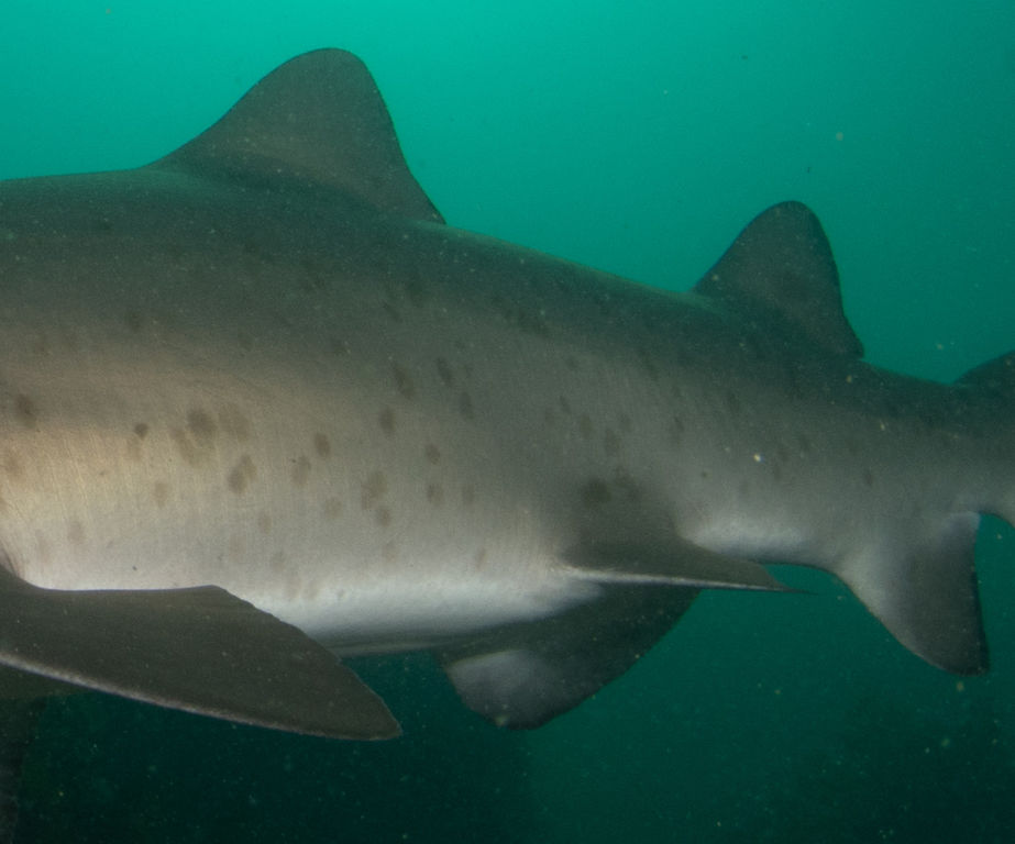 4ed9b274-eb64-4805-b8fe-ad217e52c9c5