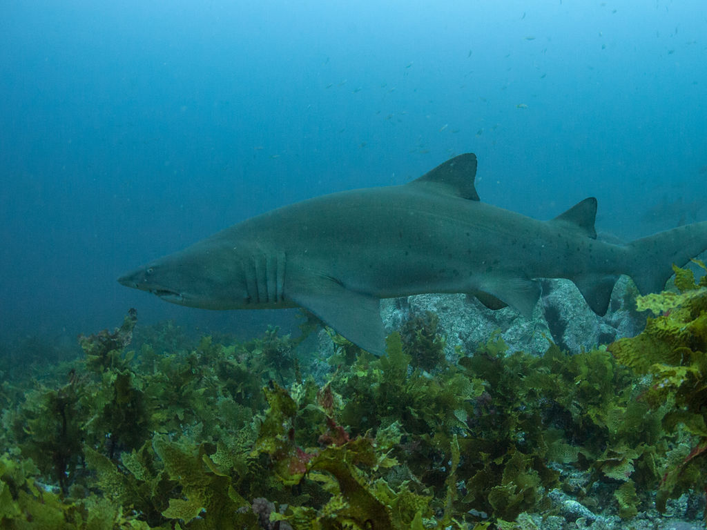 8baa997e-cc3c-41e3-aa8e-521ab32f2279