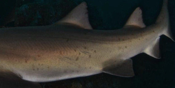 6986e096-a173-478a-bc14-a607718cf157