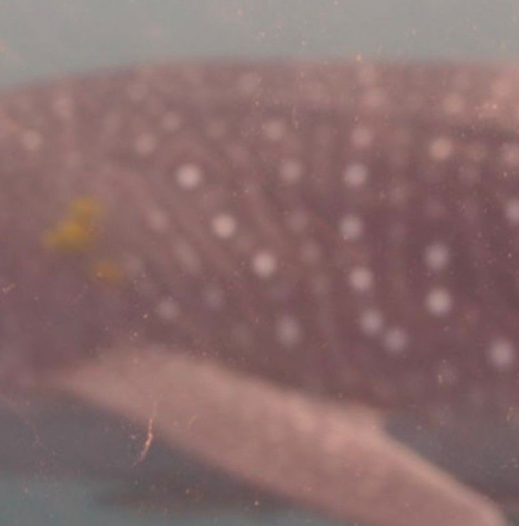 8b906fa7-5c41-4502-b9bf-aae9fb0e69f2