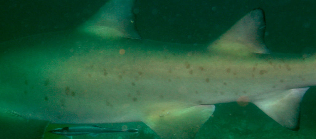 1fb95161-f21c-44d0-beb3-bd3e69a6fd6e