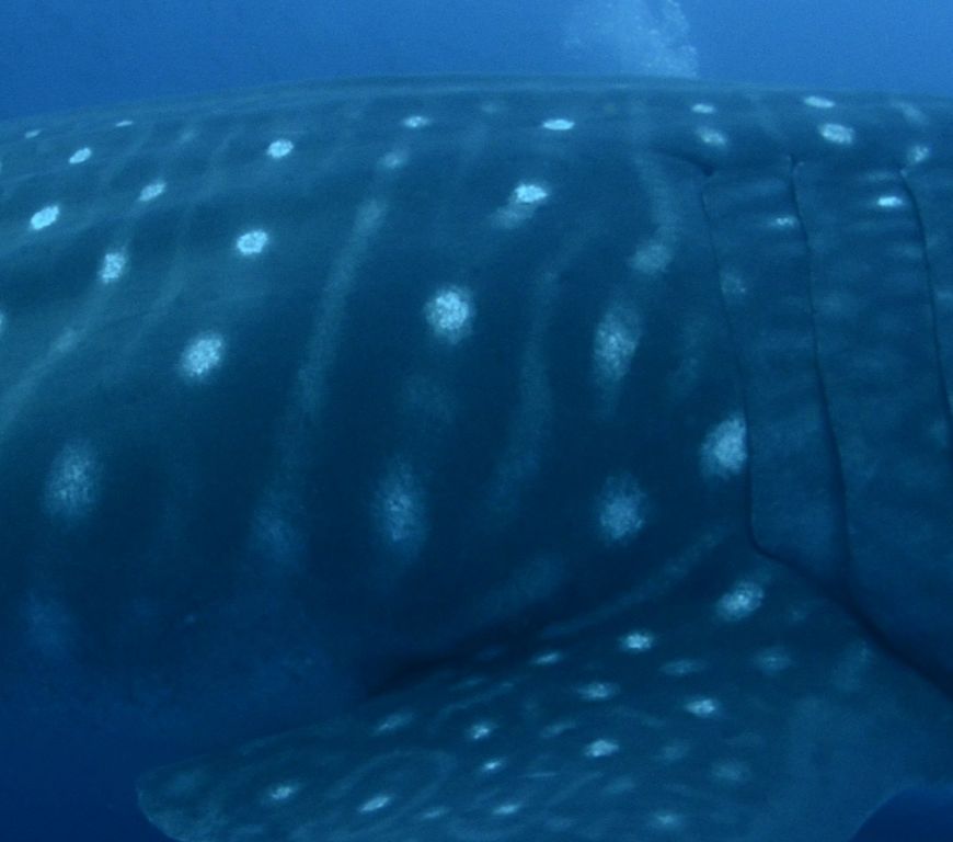 dbaf9f9d-fcc3-441c-ae3a-bb9d80e9ac92