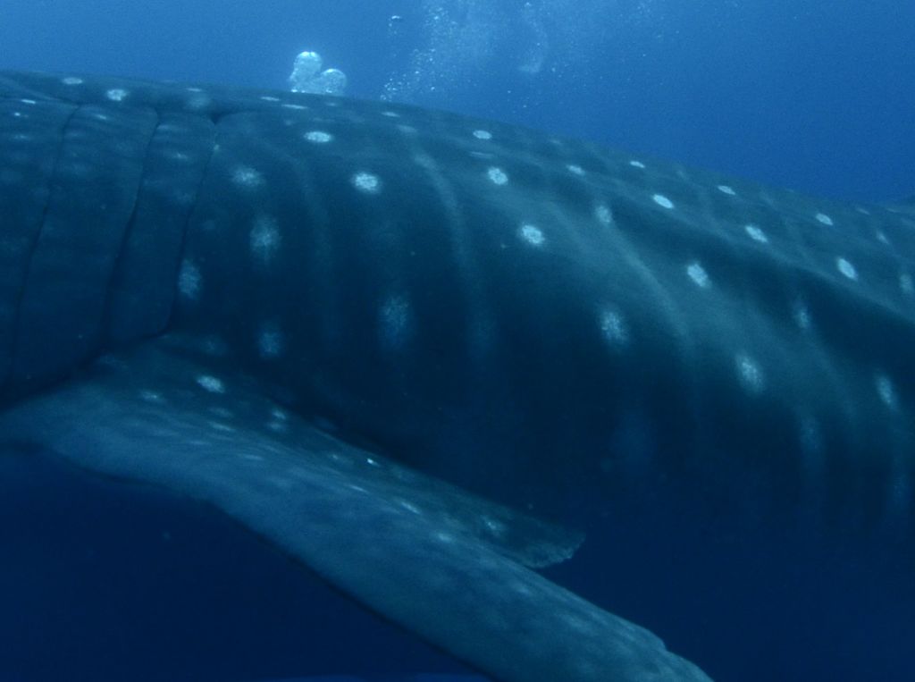 dbaf9f9d-fcc3-441c-ae3a-bb9d80e9ac92