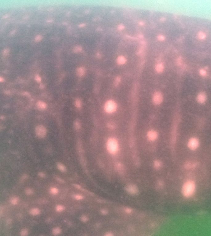 837f39bc-6314-4a2c-815a-36076ddf357d