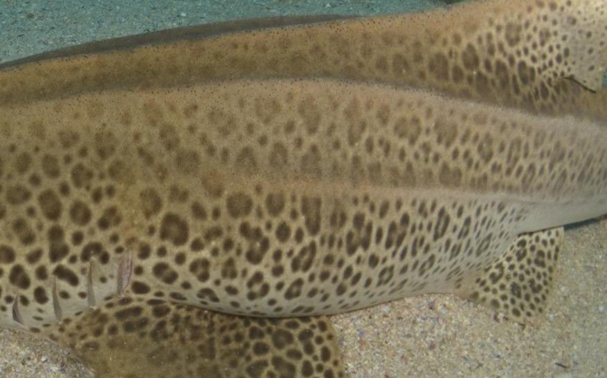 dde8757c-456d-4a76-8567-1aa76542d964