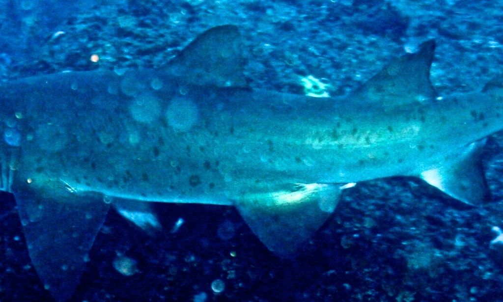 6e3121c8-ee2c-4503-8234-6516d6a662f5