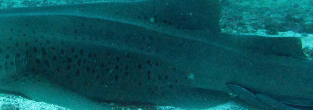 2b4ba6d7-7cbf-400c-9fc4-a149233aff40