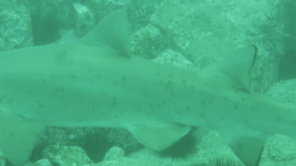 57faf047-564f-48c4-acee-a7781fb52398