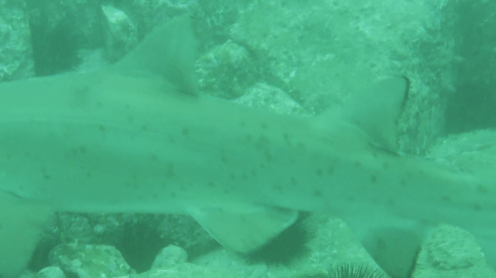 57faf047-564f-48c4-acee-a7781fb52398