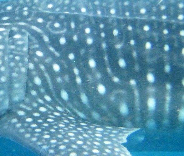 0bb18799-f4ae-4474-831b-0bdc11f3185b