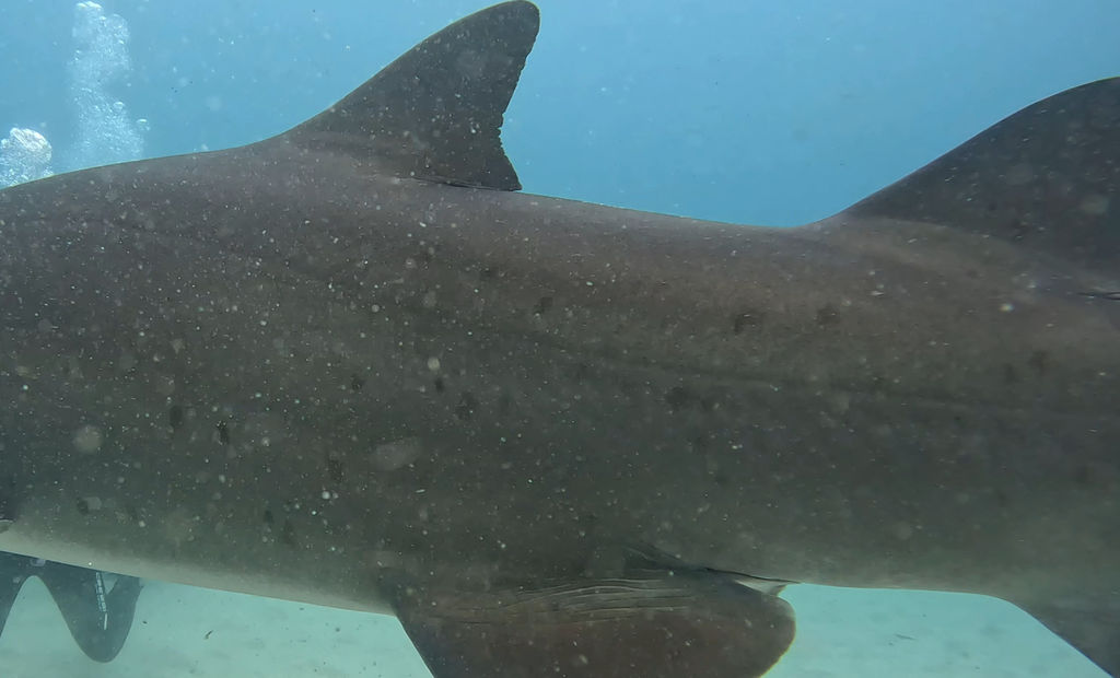 7e55bf54-e018-40a1-af8f-1241f2169a70