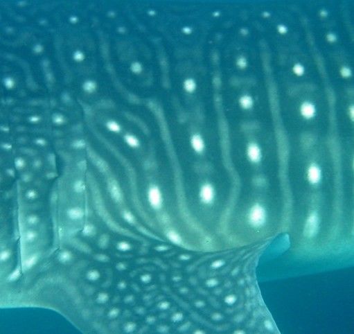 e6f0ff6d-2997-4fd6-b679-4d33739d87a9