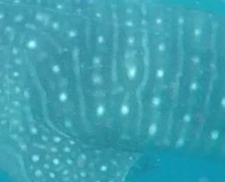 16bff513-bfdd-4cf4-9599-d50f720291d5