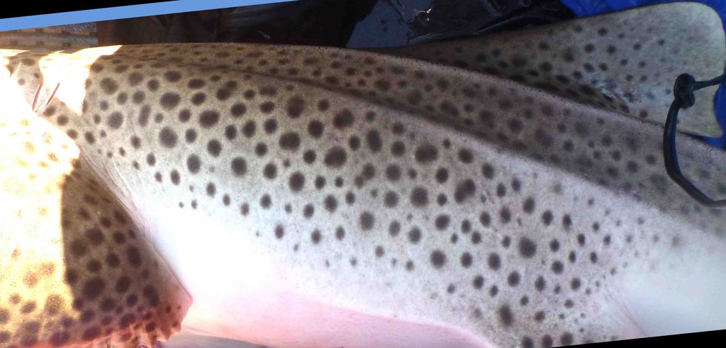 ddb06915-7ece-4c7c-8db9-b115e7f38ea7