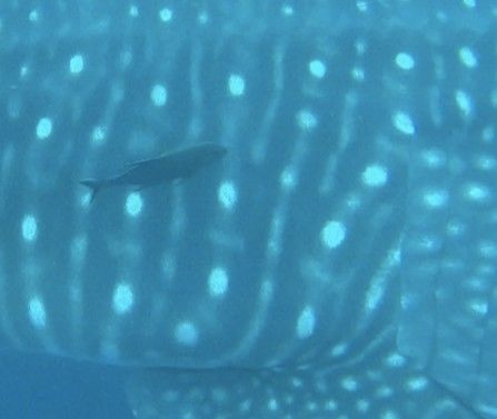 e2d02e24-8976-45c1-8f48-90957fdc17b1