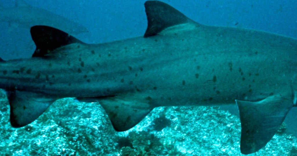 54e540fa-8869-4b5e-9efd-a18ce5c26202