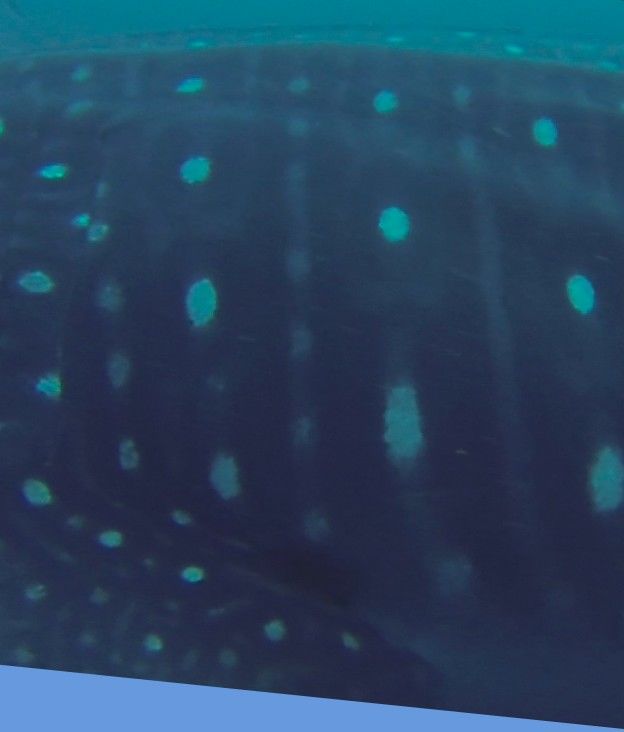 6fe4092c-0d6c-4601-9a9f-790740bf9abd