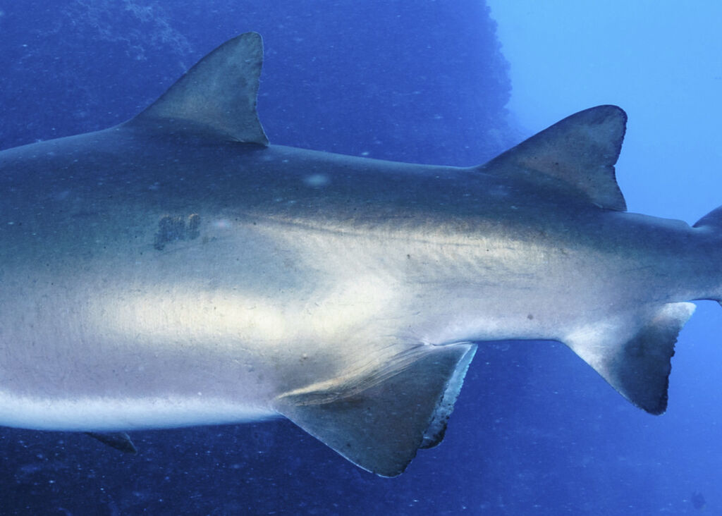 57c7c1ca-3830-4cf3-bb0f-7372f662bdc0