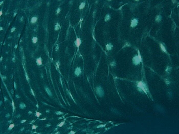 eff23a43-bd8d-4e14-9061-cf5d959a85af