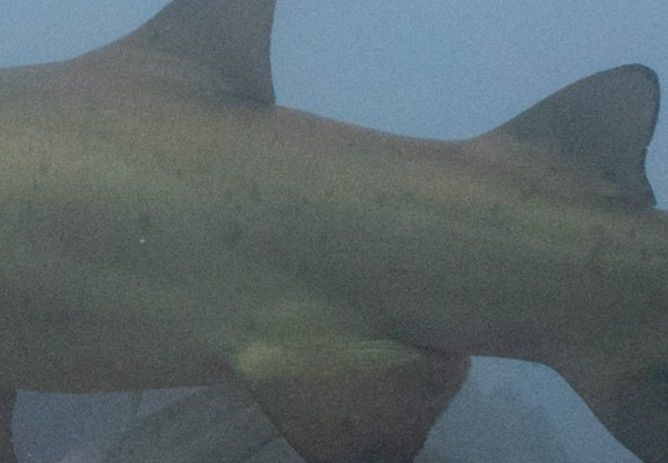 9a4a308b-b93f-4d93-b118-81877df43154