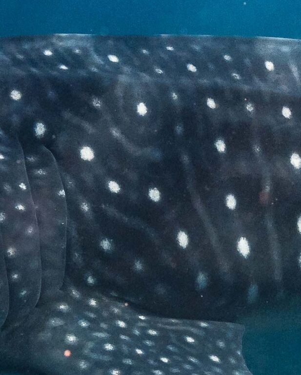 862ef5f0-44be-4dbe-b0c7-8213ca063cae