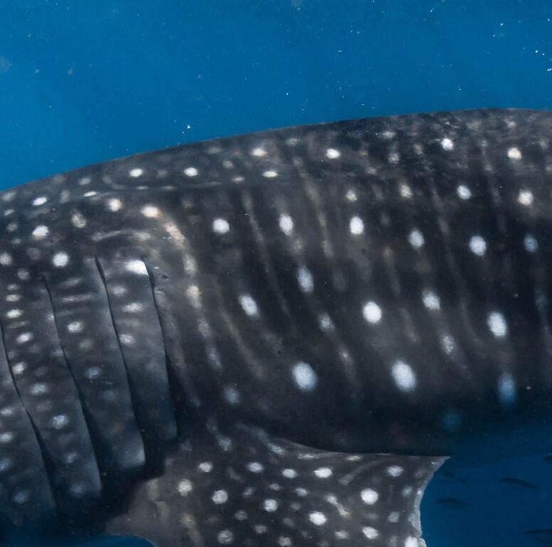 a7e76203-c6a7-4cd3-a26a-5a8dd6c80777