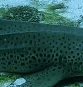 f3a1f118-72f7-42f9-b796-d76d08da9cc2