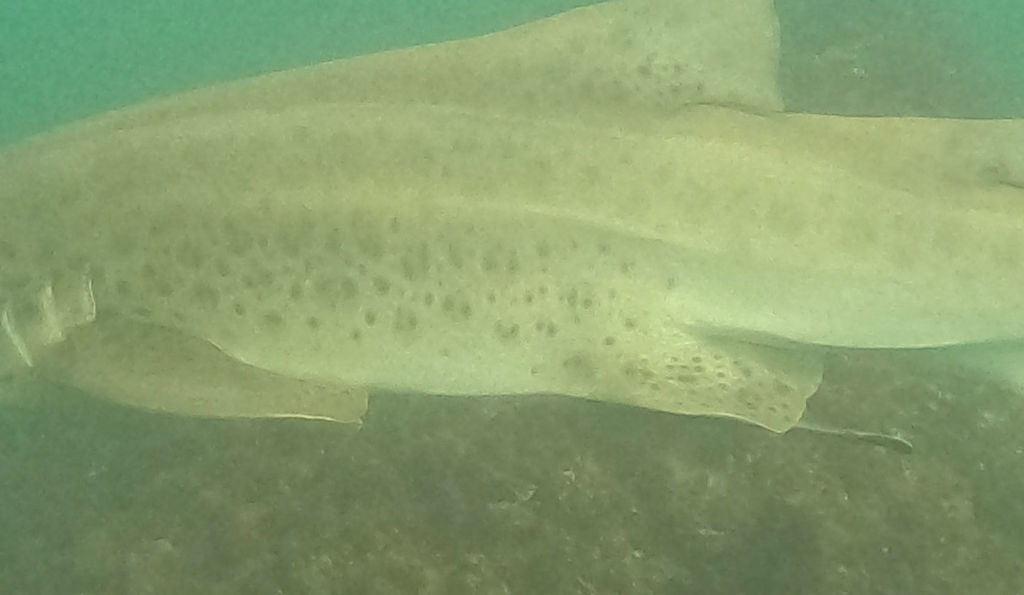 4cf543d1-6f08-4105-ac64-bc74efaf1032