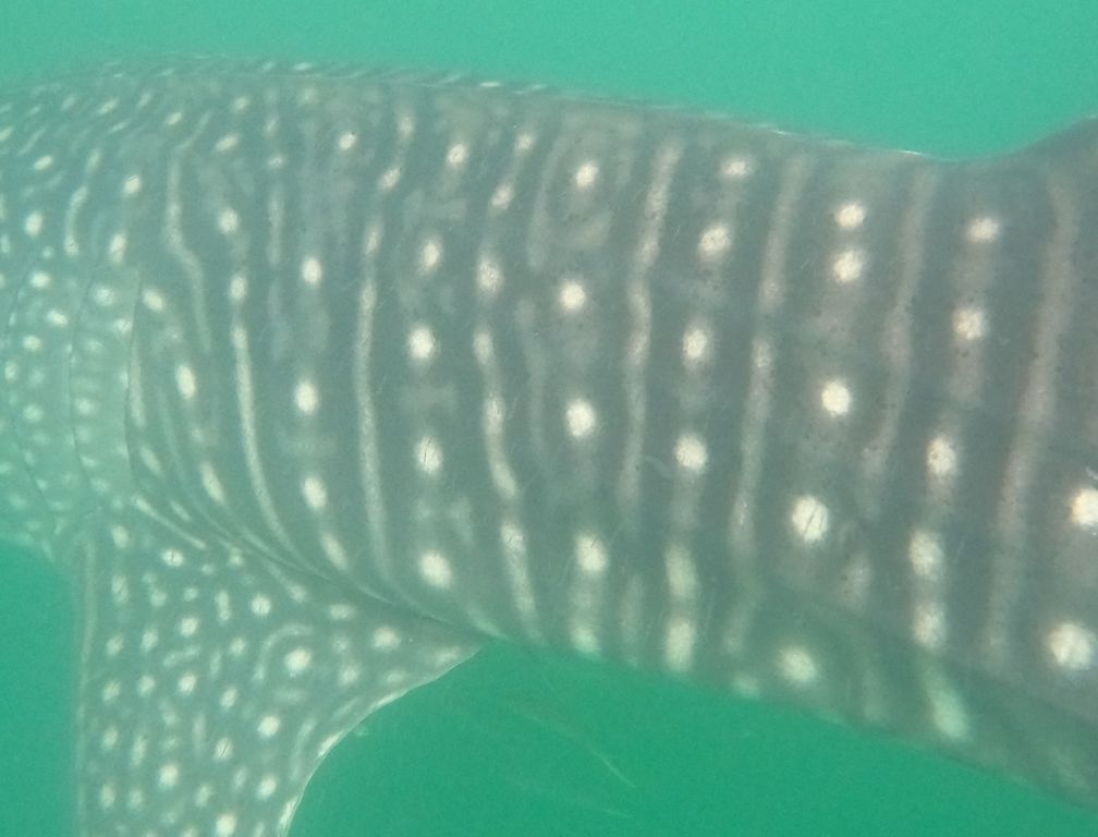 8ce6fb47-3d06-4e06-a528-2d721f58e155