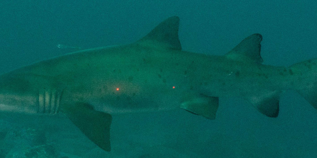 bed83f1b-2b57-4eb5-b99c-b5034253d5c4