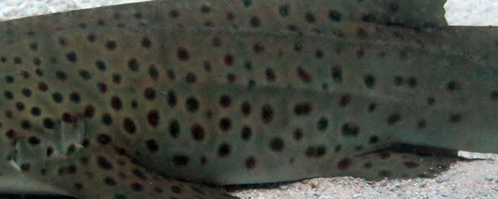 a1766b3b-49b5-4a7f-ad27-6dcb392c32fa