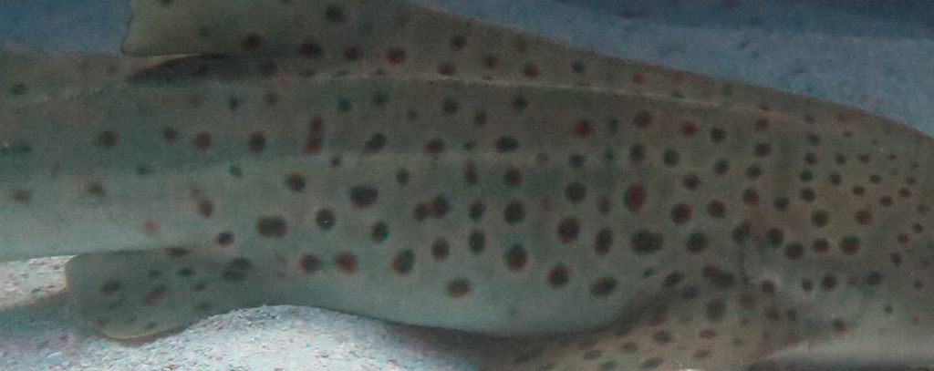 a1766b3b-49b5-4a7f-ad27-6dcb392c32fa