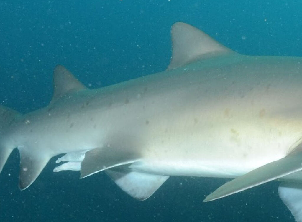 cdeb374d-7294-4c38-ba2e-50d494e60b1f