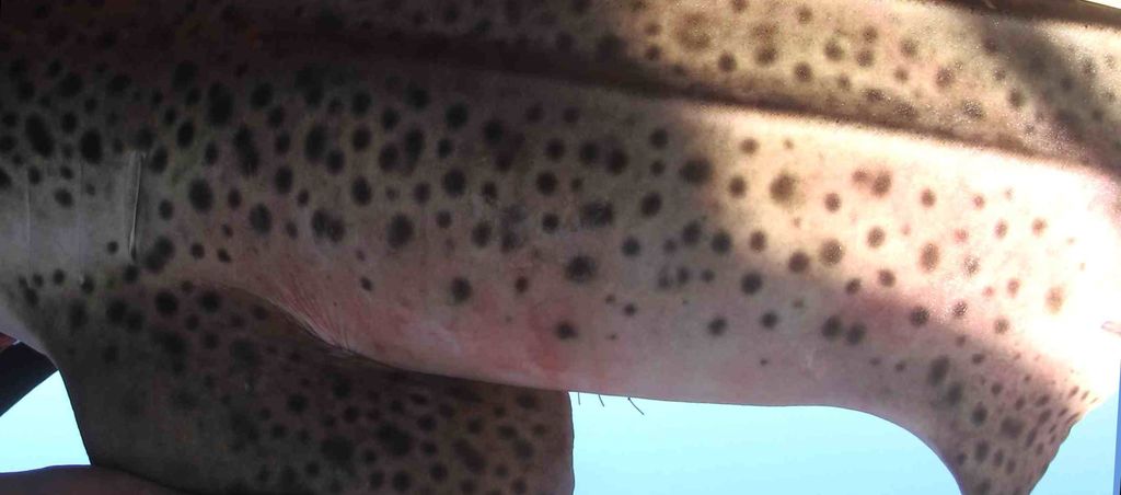 9f062e85-d70e-4396-99e6-2a12b69d6c14