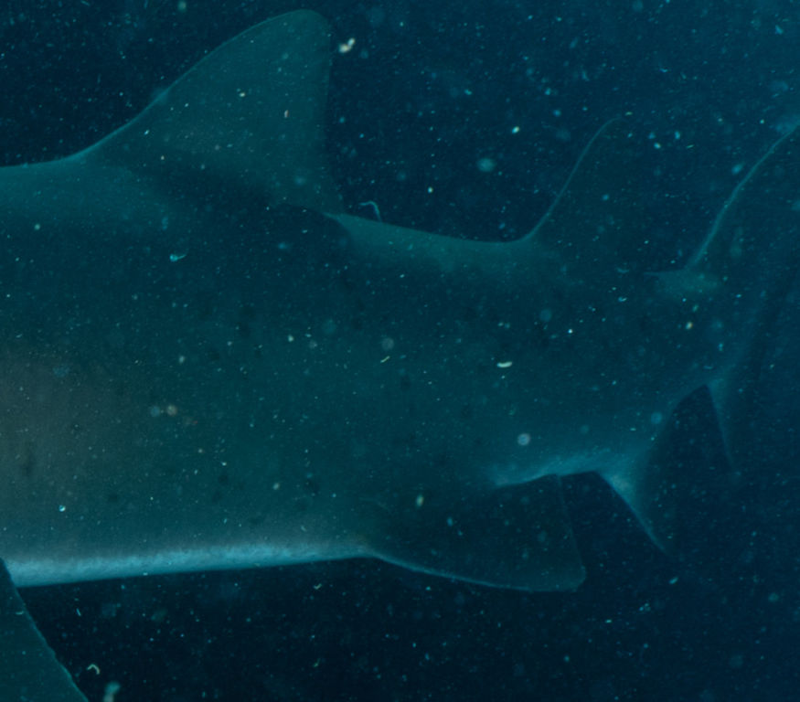 60720573-2548-4df3-a36d-a76efec24685