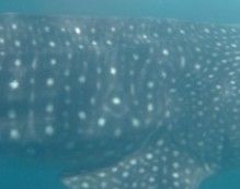 ac45def7-98e6-4d19-a7b2-57d5c7bf9b06