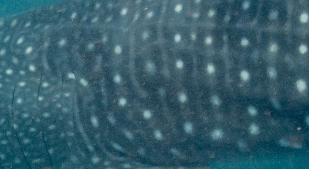 5abc9f2e-3068-4937-b346-52aa26ca7899