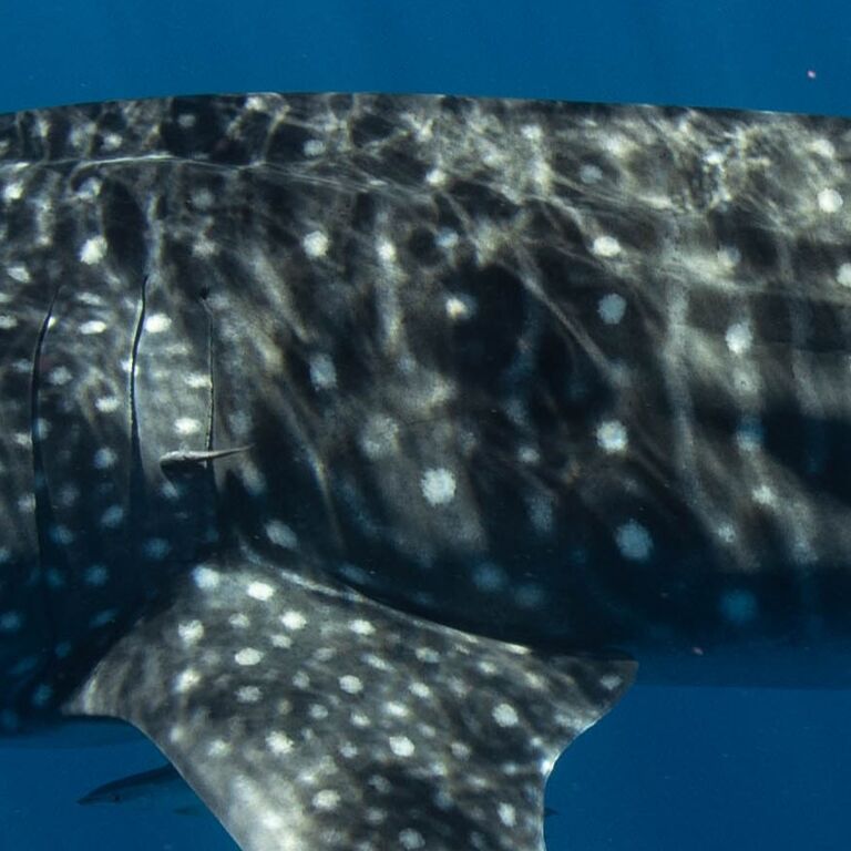 dca5bd12-95a8-4566-a580-ede107e16b6d