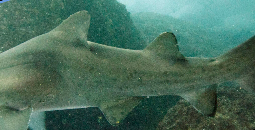 ca7fee04-c010-4f31-9d40-d3e12890af04