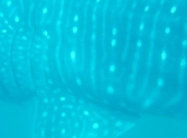 418ba799-3298-42a4-b6b1-41dc9bffdc65