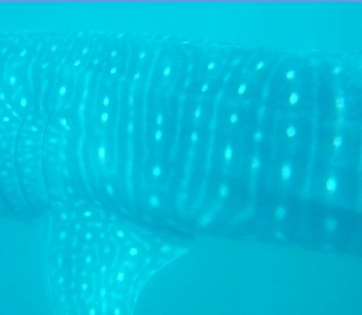 418ba799-3298-42a4-b6b1-41dc9bffdc65