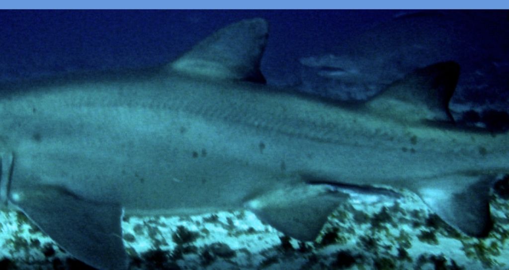 06e70f68-138e-457e-976f-7d5570158e23