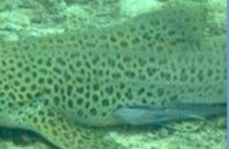 f09bc64a-4e2e-4e1d-9e2d-b3a005827de7