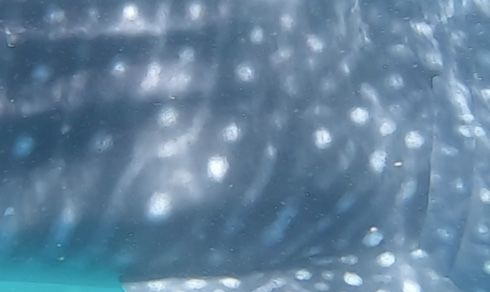 fc6c0e53-cec4-4b5b-96eb-a2b122331122