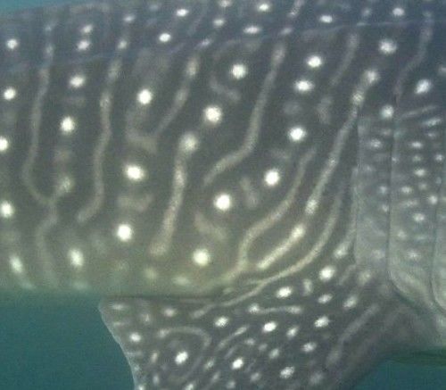 7ac993f4-67dc-4ec7-986a-bec4e938796a