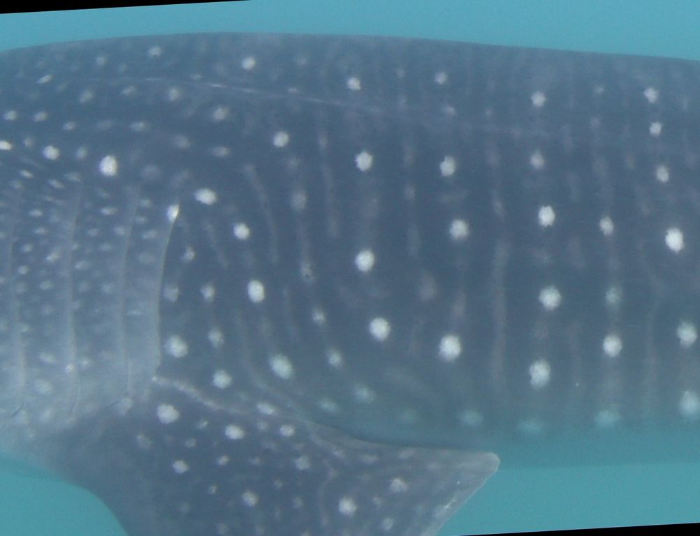 3d780a95-3183-4e0e-b61e-71c5e19efa4e