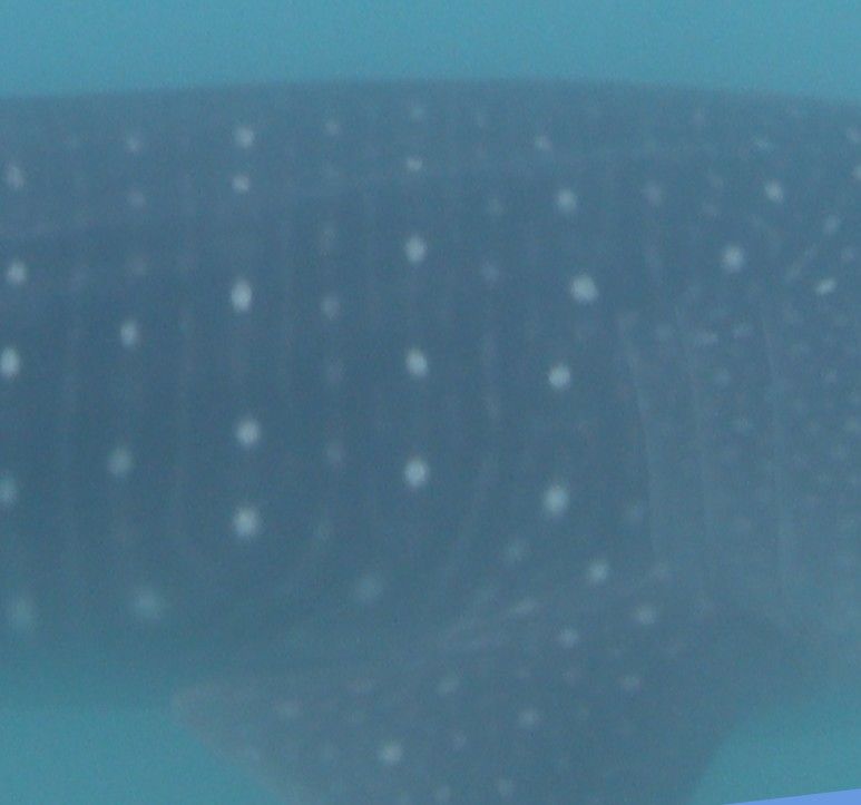 3d780a95-3183-4e0e-b61e-71c5e19efa4e